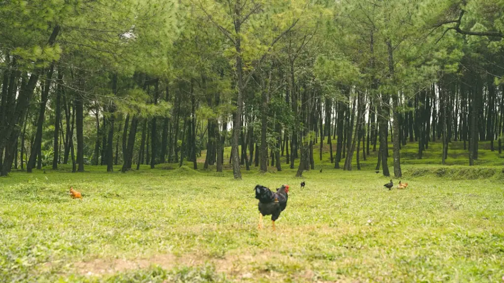 明健生物钙片生产工艺流程及质量管控标准解析